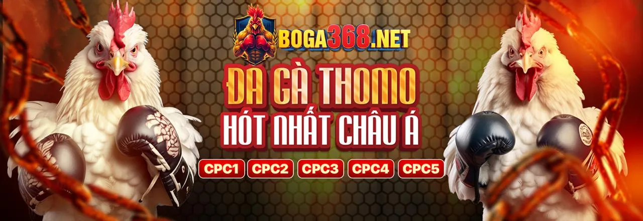 Hình ảnh đại diện cho trang Về Chúng Tôi của 88abc.top, thể hiện sứ mệnh và tầm nhìn